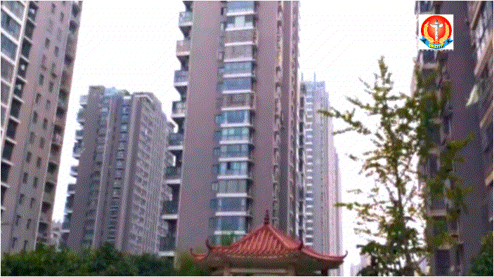 4.gif