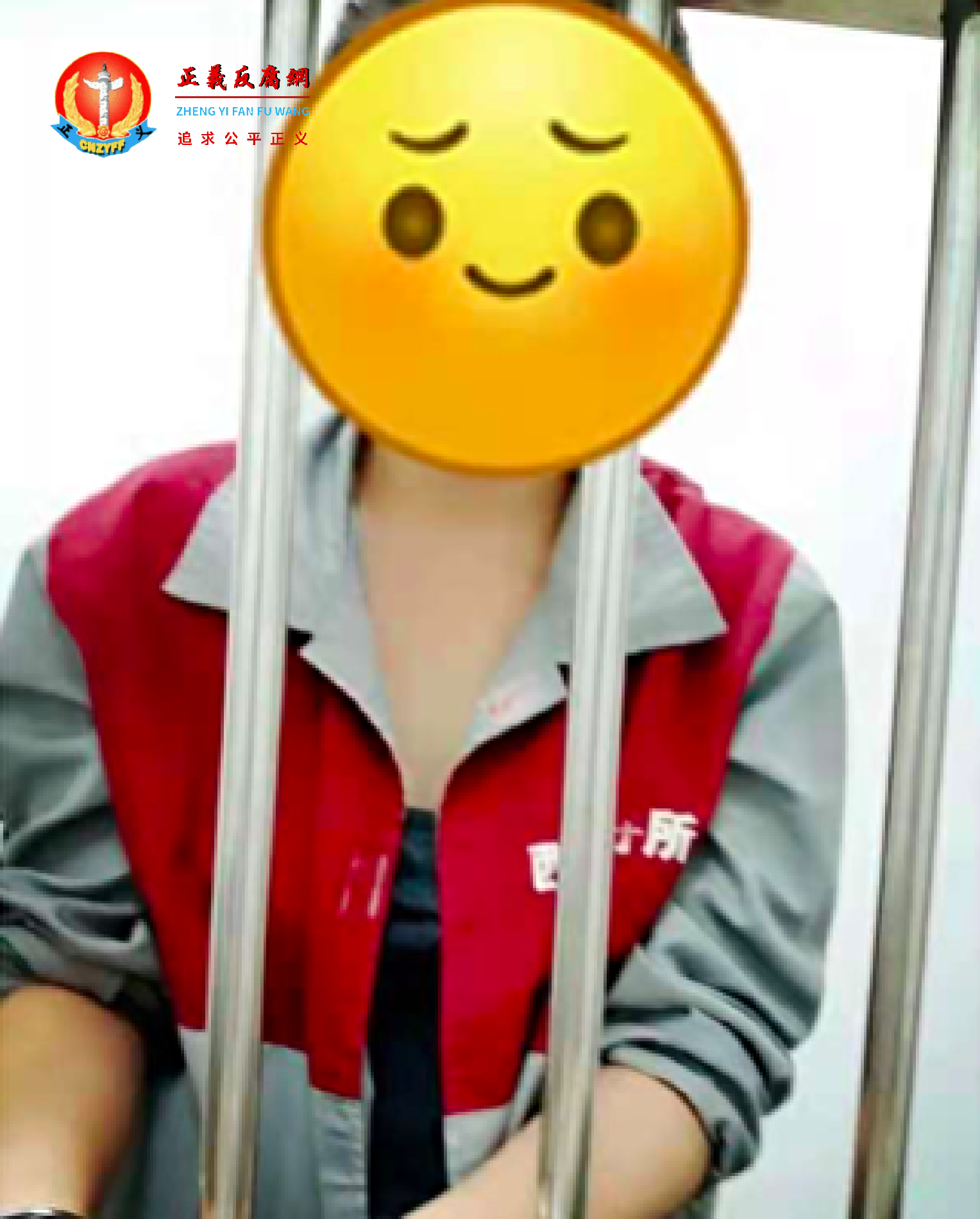 李安琪被羁押在北京西城看守所。.png